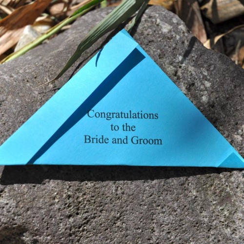 Butterfly Release Butterfly Release Wedding Butterfly Release