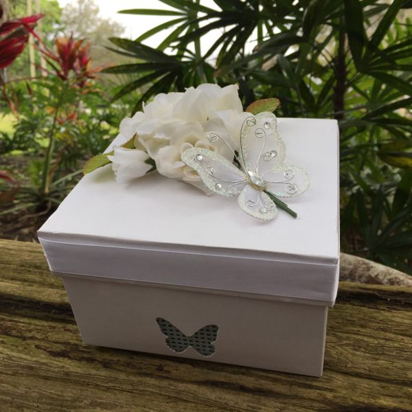 butterflies-for-release-boxes
