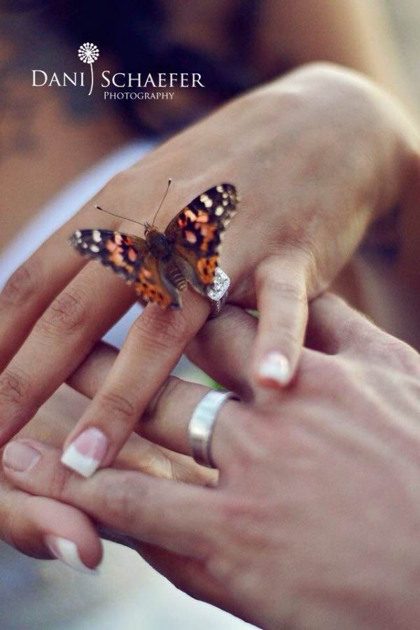 A Butterfly Release Makes A Unique Wedding Theme Cloverlawn   IMG 1930 600x900 