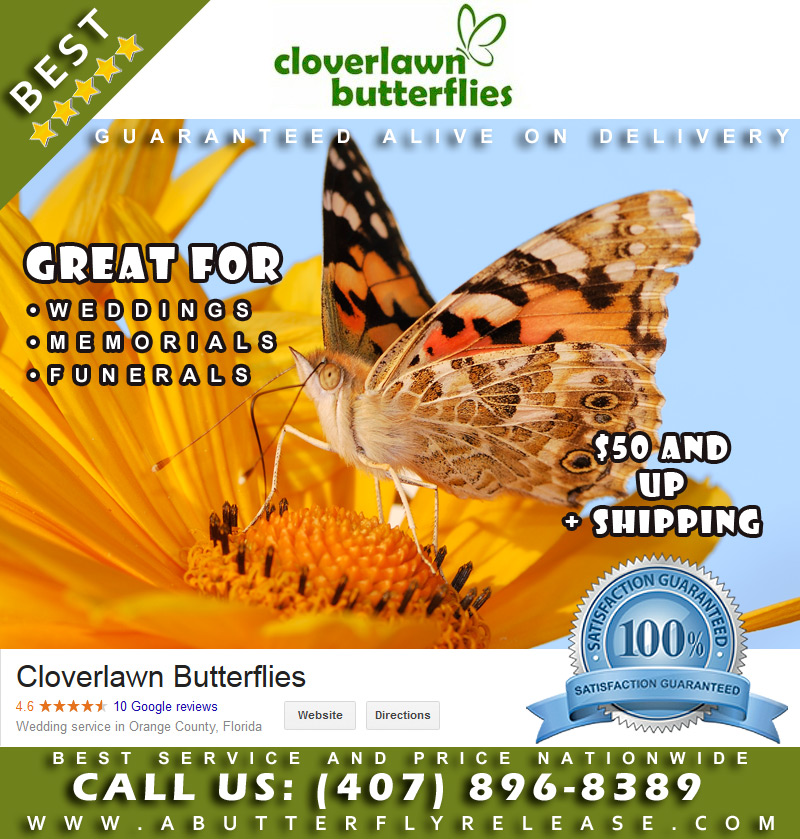 Butterfly Release Florida Company -  Cloverlawn Butterflies