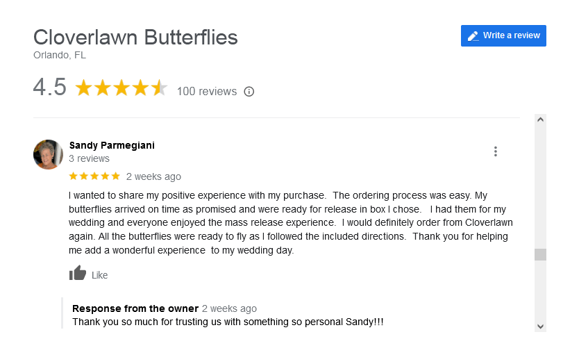 Recent Google Reviews of Cloverlawn Butterflies