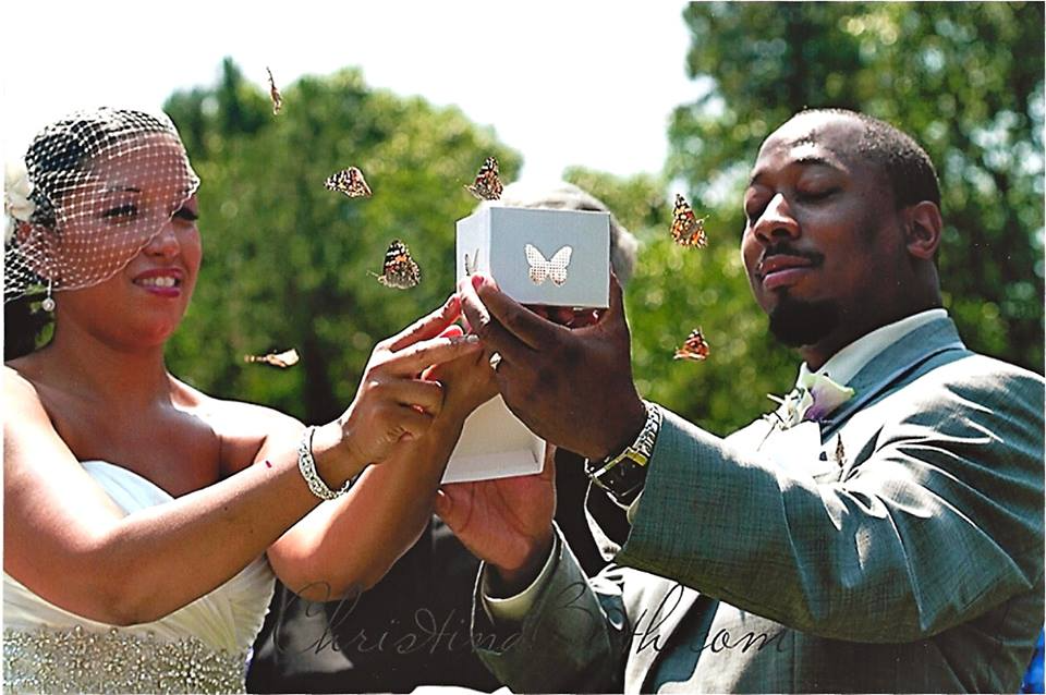 Bride and groom releasing butterflies at their wedding