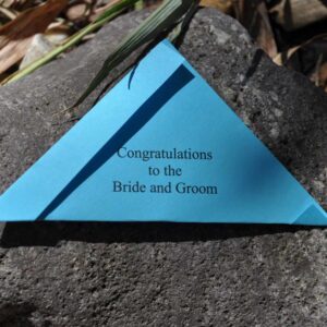 butterflies-for-wedding-release