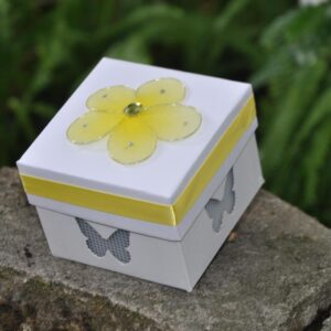 live-butterflies-for-graduations