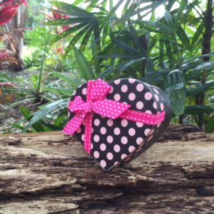 Painted Lady butterfly release package of 24 Painted Lady butterflies in heart shaped mass release box