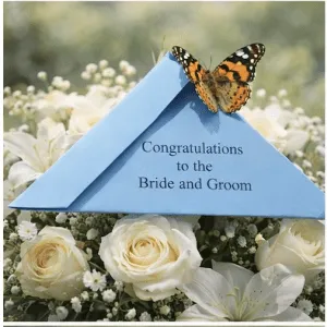 24 Painted Lady Butterflies in Individual Release Envelopes