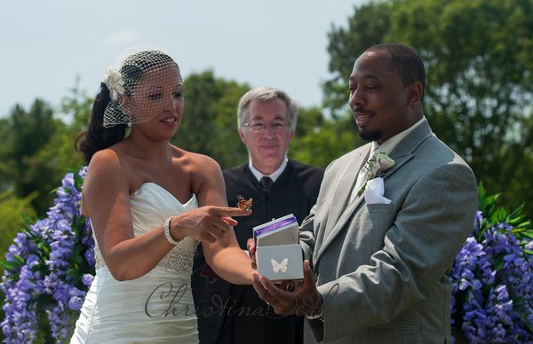 butterfly-release-wedding