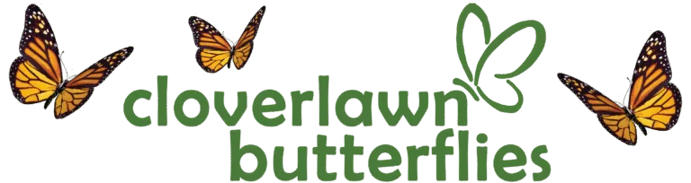 Cloverlawn Butterflies brand logo