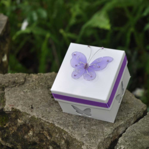 live-butterflies-for-release-in-box